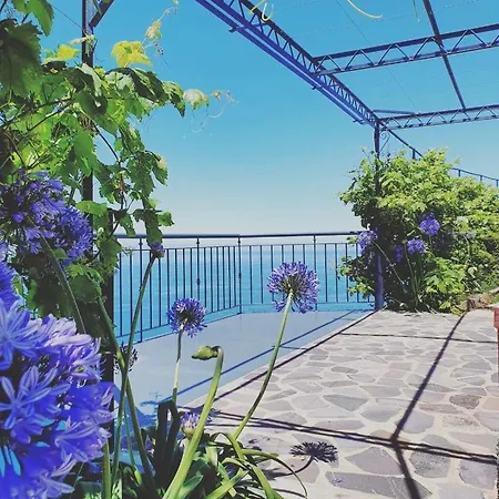 Апартаменты Ocean View Madeira 1 - Ponta Do Sol